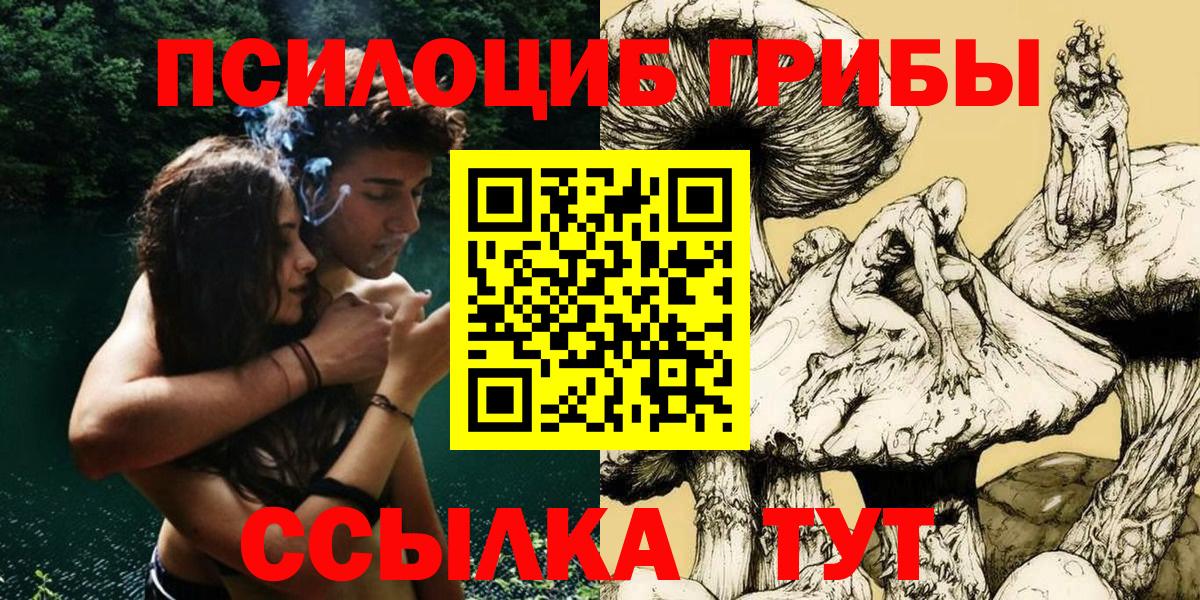 Зеленодольск  Псилоцибиновые грибы GOLDEN TEACHER  купить   Вход с VPN 